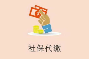 都江堰市网络文化经营许可证办理费用及代理机构选择指南