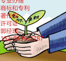 数字时代的视觉盛宴 高清图片与网络文化经营的融合与发展