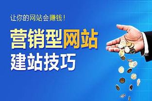 传统网站与营销网站的本质区别及网络文化经营的内在逻辑