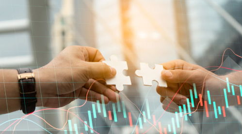 全网数字化营销运营 网络文化经营时代的企业核心引擎